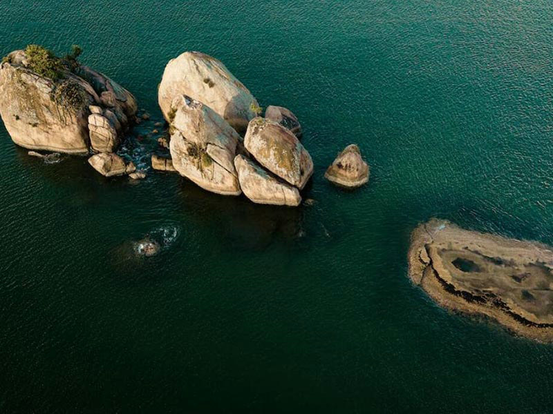 亚硝酸钠检测.jpg