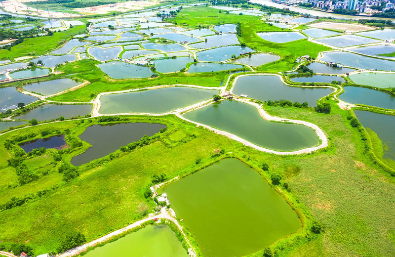 工业废水浊度“秒级前哨”在线监测仪部署方案 现代工业废水浊度监测