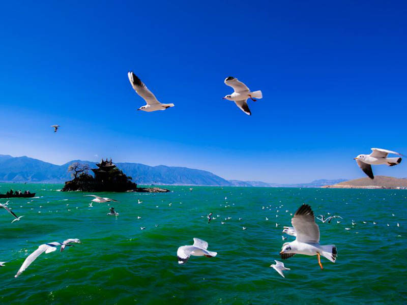 水质检测分析.jpg